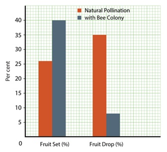 Apple orchard yield graph